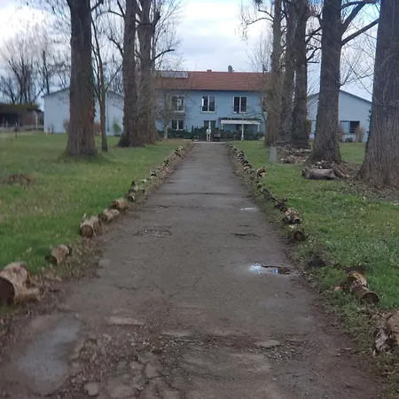 Grosse 3 Zi Auf Der Pferde Farm アパート *